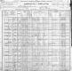 Census - 1900 - Elisabeth Jost and Children Census - 1900 - Elisabeth Jost and Children