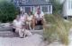 Photo - 1958 - Edna Bluhm, Mary Caddick, Ruth Master, Jack Hannenburg - Woodland Beach.jpg