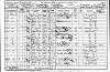 Census - 1901